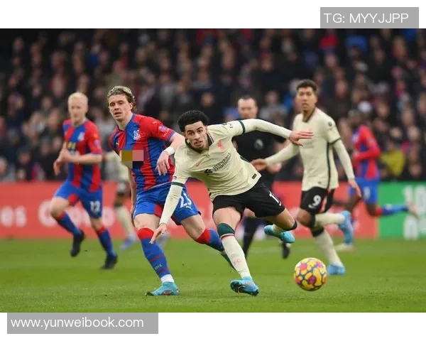 阿德莱德对阵纽卡斯尔喷气机精彩直播全程回顾与分析